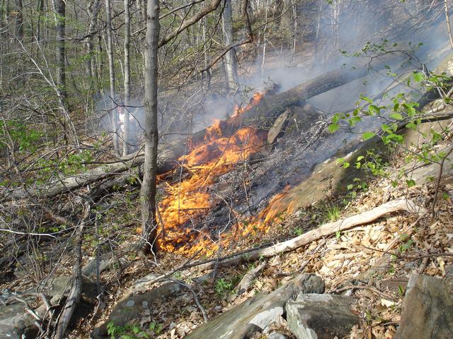 4/24/08 - M/A to West Harrison - Brush Fire